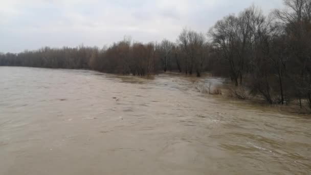 Ορεινός Ποταμός Πλημμυρίζει Τις Όχθες Του — Αρχείο Βίντεο