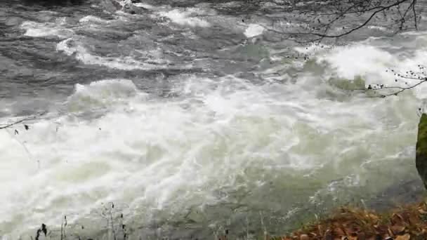 Full Flowing Mountain River Roaring Rapids — Video
