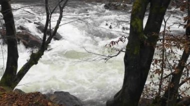 Full-flowing mountain river roaring on the rapids 15