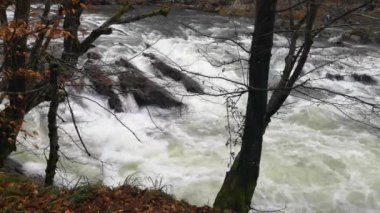 Full-flowing mountain river roaring on the rapids 13