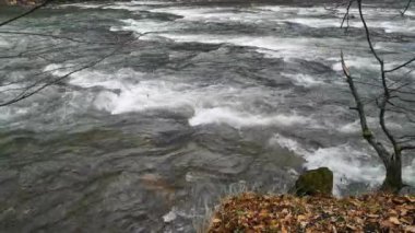 Full-flowing mountain river roaring on the rapids 7