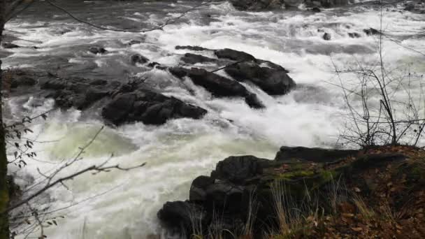 Full Flowing Mountain River Roaring Rapids — стоковое видео