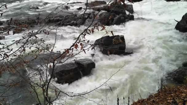 Повнотіла Гірська Річка Ганяє Порогах — стокове відео