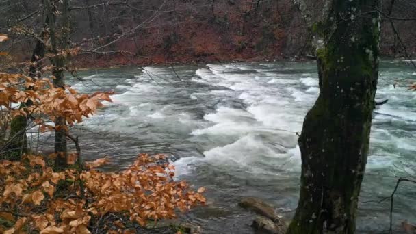 Πλήρης Ροή Του Ποταμού Βουνό Βρυχάται Στα Ορμητικά Νερά — Αρχείο Βίντεο