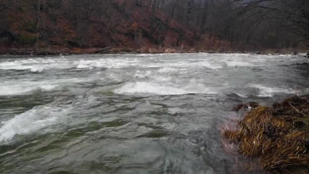 Full Flowing Mountain River Roaring Rapids — Stock videók