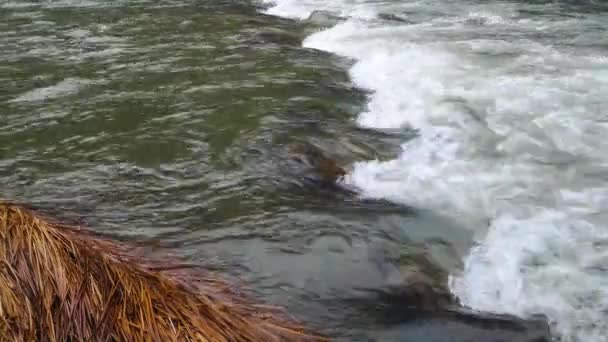 Full Flowing Mountain River Roaring Rapids — Stockvideo