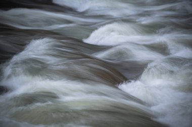 Akıntılı dağ nehri akıntılarda kükrüyor.