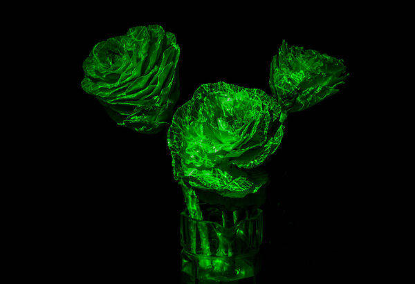 Bouquet of decorative cabbage brassica in neon light
