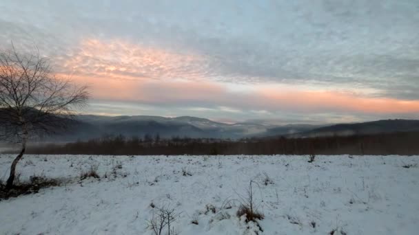 山の中で冬の霧の夜の時間経過 — ストック動画