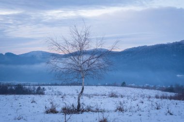 Gün batımında Karpatların kışın manzarası