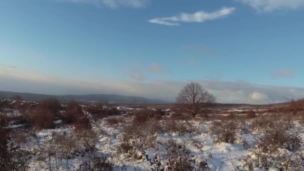 Karpatlar Zaman Aşımına Uğramış Kış Manzarası — Stok video