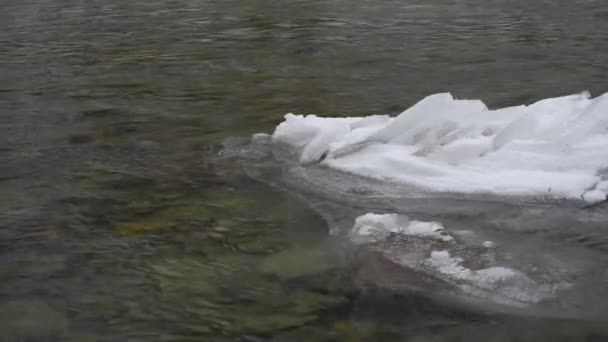 Mountain River Clear Water Melting Snow Ice — Stock Video