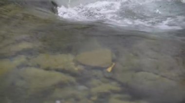 Mountain river with clear water from melting snow and ice