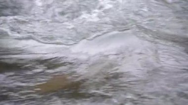 Mountain river with clear water from melting snow and ice