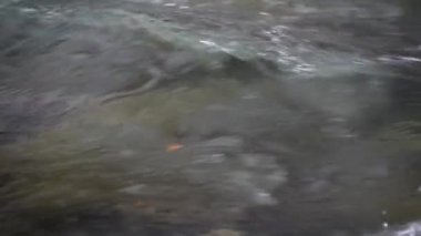 Mountain river with clear water from melting snow and ice