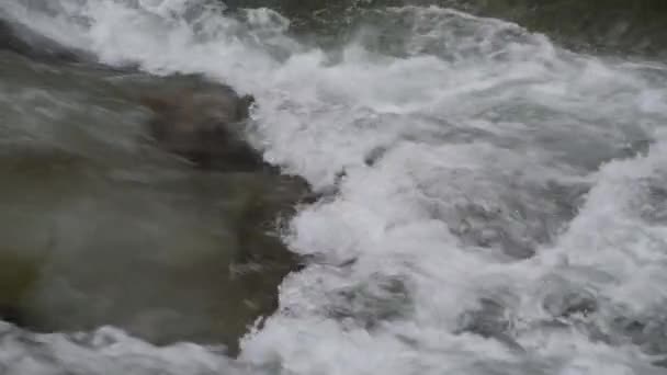 Eriyen Kar Buzdan Akan Temiz Suyla Dağ Nehri — Stok video