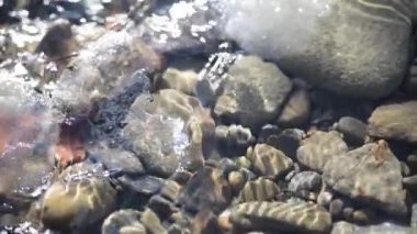 Texture shadows on the stones through the clear water of a mountain river