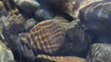 Texture shadows on the stones through the clear water of a mountain river