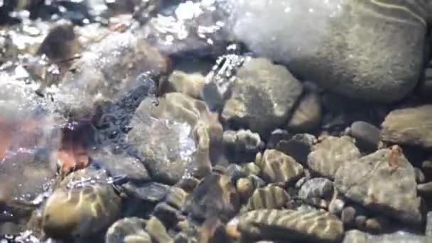 Texture Shadows Stones Clear Water Mountain River — Vídeo de Stock