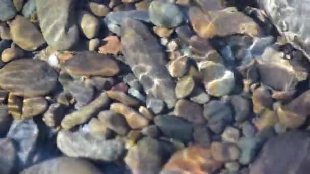 Texture Shadows Stones Clear Water Mountain River — Stockvideo