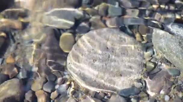 Sombras Textura Nas Pedras Através Água Clara Rio Montanha — Vídeo de Stock