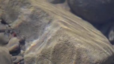 Texture shadows on the stones through the clear water of a mountain river