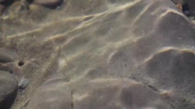 Texture shadows on the stones through the clear water of a mountain river