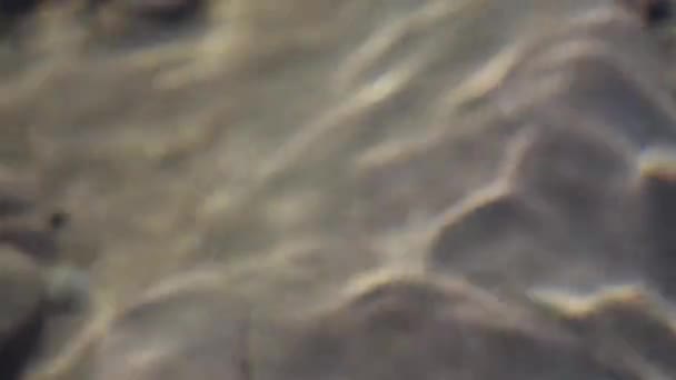 Sombras Textura Nas Pedras Através Água Clara Rio Montanha — Vídeo de Stock