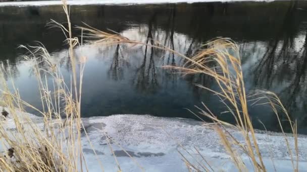 Buz Kütleli Bir Kış Nehri Manzarası — Stok video