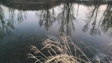 Buz kütleli bir kış nehri manzarası