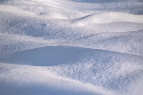 Texturierter Flauschiger Schnee Bergwald Der Karpaten Stockbild