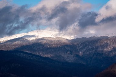 Karpat dağlarında ilkbahar manzarası
