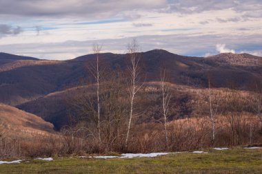 Karpat dağlarında ilkbahar manzarası