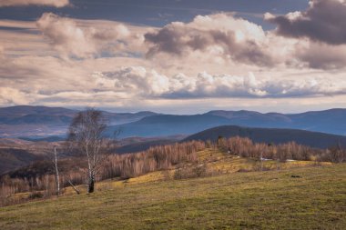 Karpat dağlarında ilkbahar manzarası