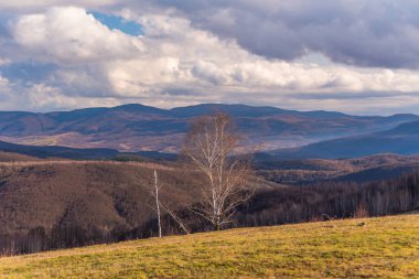 Karpat dağlarında ilkbahar manzarası