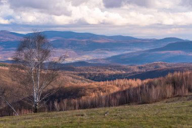 Karpat dağlarında ilkbahar manzarası