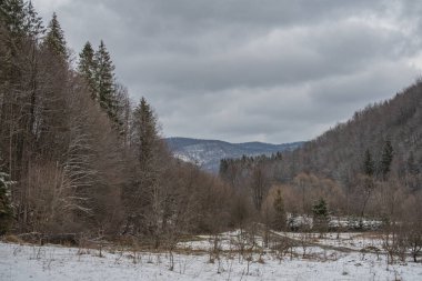 Karpat dağlarında ilkbahar manzarası