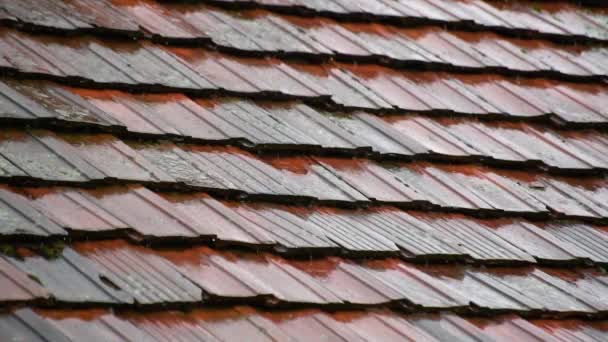 Deszcz Burzy Dachu Dachówki — Wideo stockowe