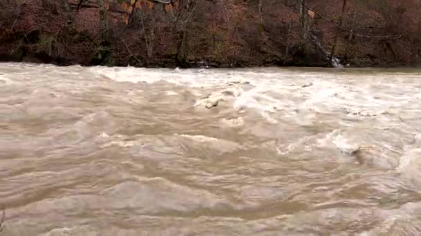 Voll Fließender Fluss Bergquellwald — Stockvideo