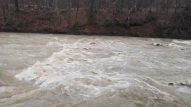 Dağ ilkbahar ormanında akan nehir