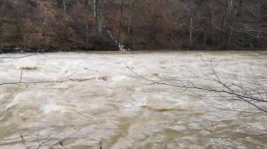 Dağ ilkbahar ormanında akan nehir