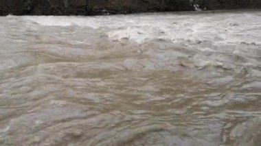 Dağ ilkbahar ormanında akan nehir