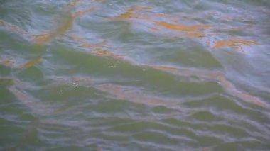 Güneş ışığı oyunu ve su akışı.