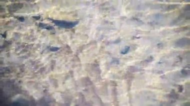 Texture shadows on the stones through the clear water of a mountain river