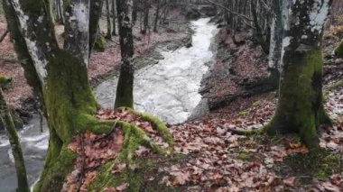 Bahar Dağı ormanında fırtınalı şelale