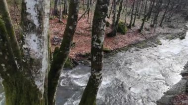 Bahar Dağı ormanında fırtınalı şelale