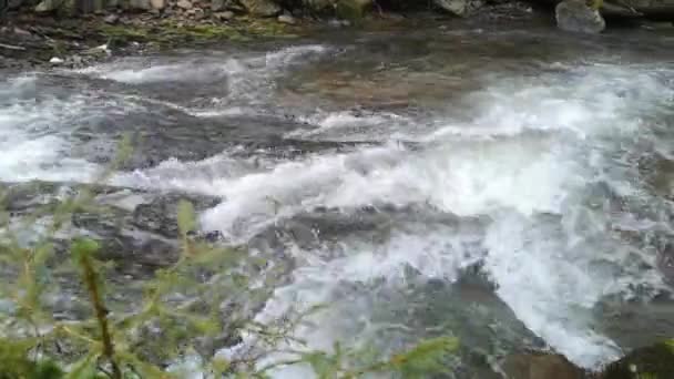 Río Tormentoso Bosque Montaña Primavera — Vídeos de Stock