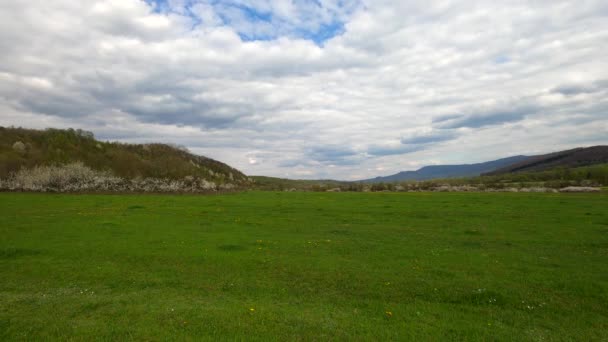 Landschaft Des Frühlings Karpaten Sonniger Tag — Stockvideo