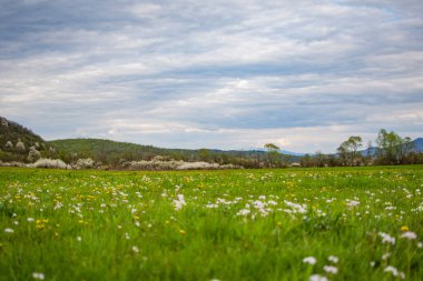 Bahar manzarası Karpatlar bulutlu bir gün