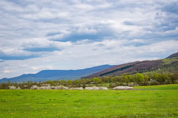 Landschaft Des Frühlings Karpaten Bewölkten Tag — Stockfoto